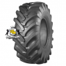 Belshina 21,3-24 16PR 160A8 ИЯВ-79 TTF